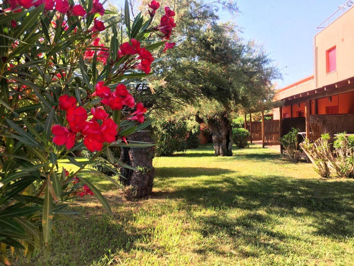 Regina Del Mare Holiday Apartments Tirrenia Exterior photo