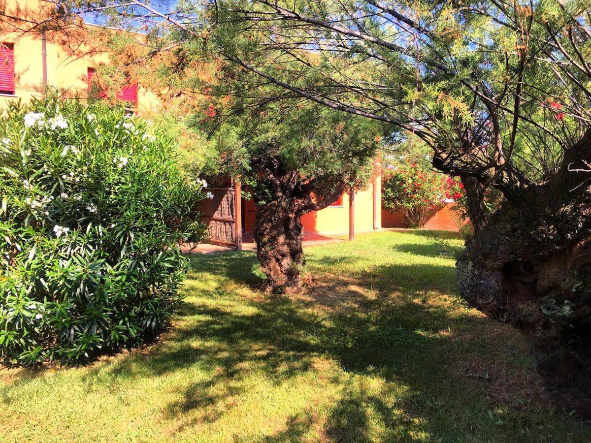Regina Del Mare Holiday Apartments Tirrenia Exterior photo